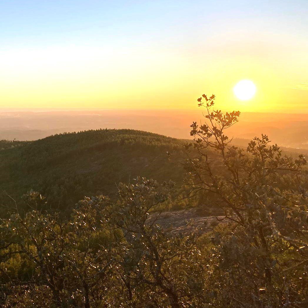 IMG-20241208-WA0017-1